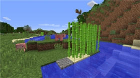 植物手册（甘蔗）