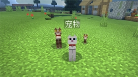 卫道士：我被一只猫击飞了？