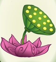 小花仙花宝日用品莲蓬