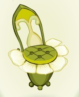 草绿坐椅