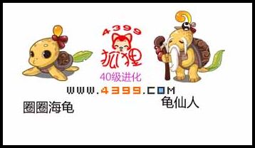 洛克王国圈圈海龟进化图