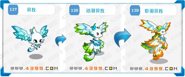 奥拉星洁羽贝拉