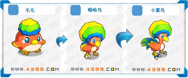 奥拉星小翼鸟