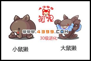 洛克王国小鼠獭进化图
