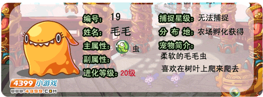 洛克王国毛毛