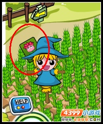 魔法花架