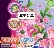 小花仙勋章达人套装 收集勋章换奖励
