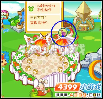 奥比岛生育动物加速饲料