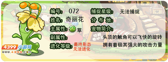 洛克王国奇丽花