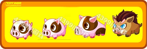 小花猪-蓝眼长毛猪变异进化图鉴及获得方法