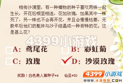 小花仙沙漠玫瑰