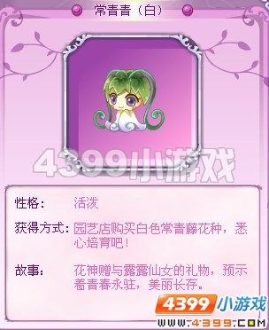 小花仙常青青（白）花精灵
