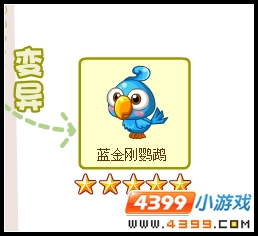 奥比岛蓝金刚鹦鹉可不可以骑