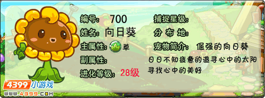 洛克王国向日葵