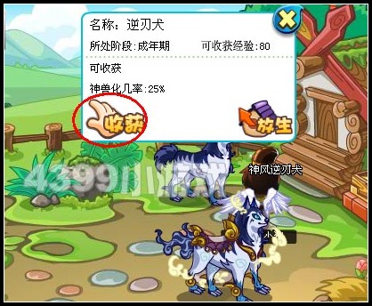 卡布西游神兽坐骑开放啦！