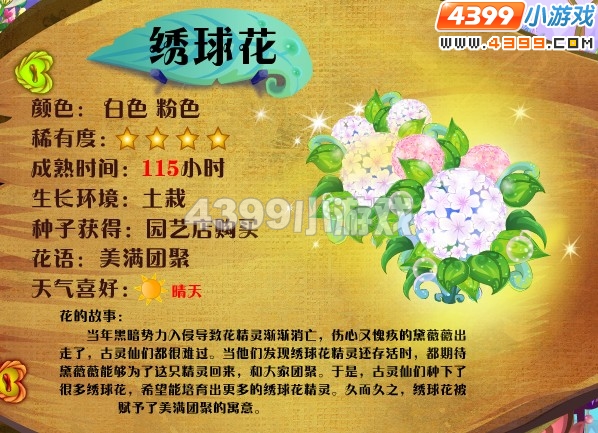 小花仙绣球花