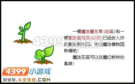 奥比岛神秘的魔幻树林