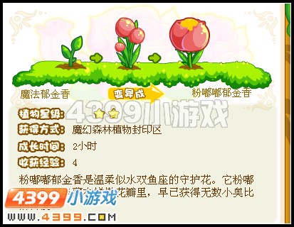 奥比岛潘潘的海底冒险