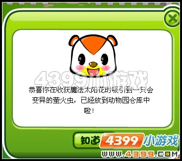 奥比岛萤火虫幼仔在哪怎么得