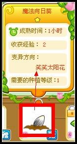 奥比岛笑笑太阳花在哪