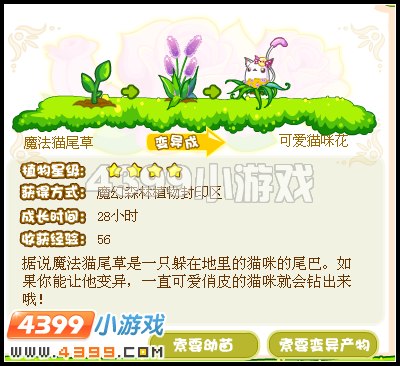 奥比岛可爱喵咪花怎么得