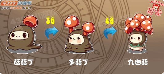 洛克王国菇菇丁进化图