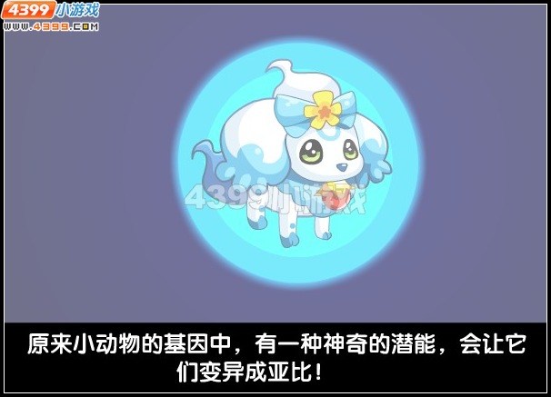 奥拉星失踪的小动物