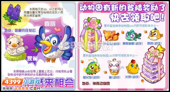 奥比岛8月5日其他更新内容