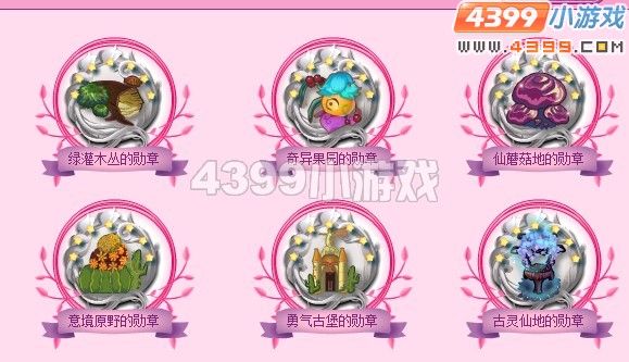 小花仙花精灵选美大赛勋章