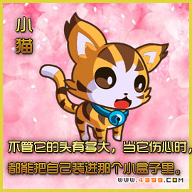 奥拉星小猫