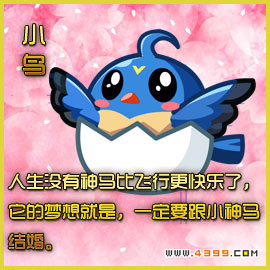 奥拉星动物 小鸟