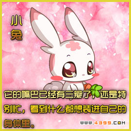奥拉星小兔