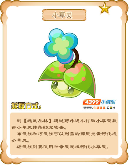 奥雅之光小草灵