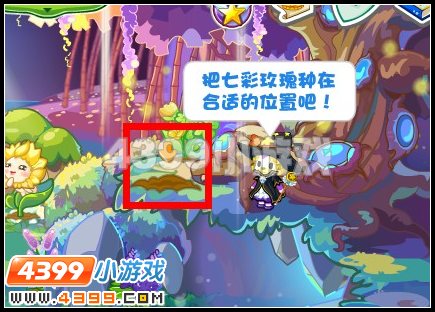奥比岛怎样种七彩玫瑰