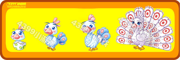 孔雀-白孔雀变异进化图鉴及获得方法