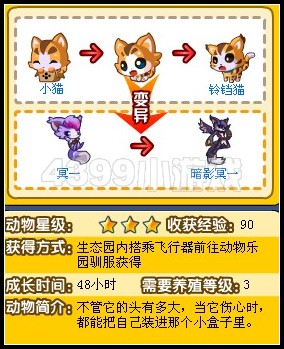 奥拉星小猫成长图鉴