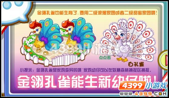 奥比岛白孔雀怎么得