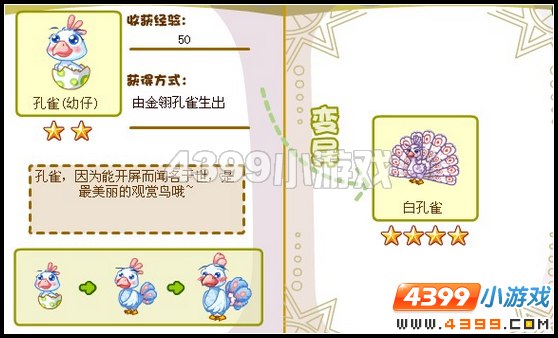 白孔雀在哪里