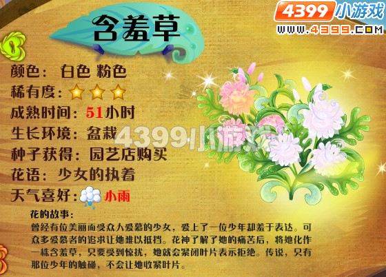 小花仙含羞草