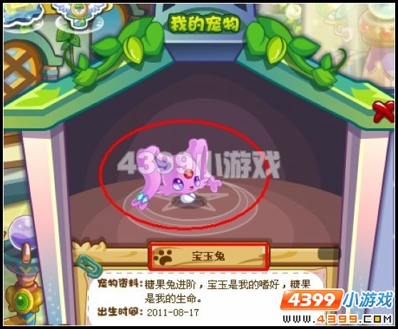 奥雅之光宠物能不能进化