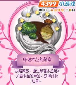 小花仙花精灵选美勋章