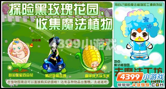 奥比岛8月19日其他更新内容
