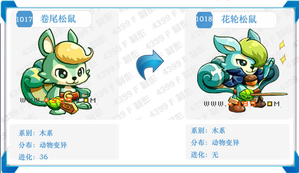 奥拉星花轮松鼠