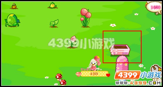 奥比岛怎么把植物放在展示台
