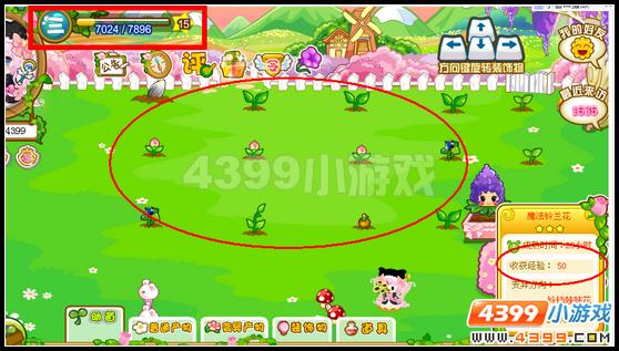 奥比岛怎样提升魔法植物园等级