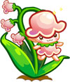 奥比岛铃铛娃娃花