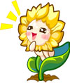 奥比岛笑笑太阳花