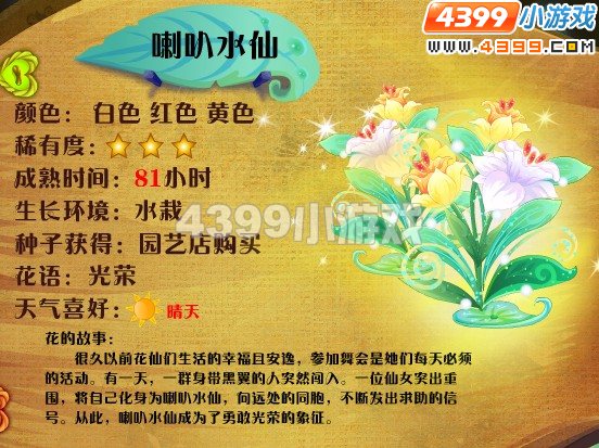 小花仙喇叭水仙