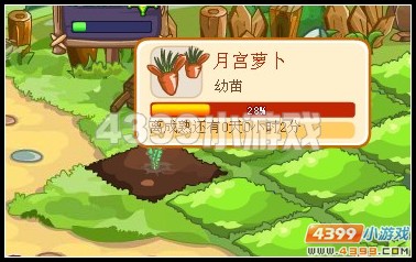 卡布西游卡布庄园