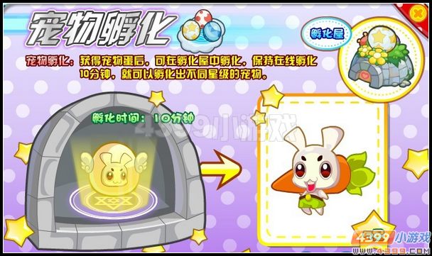 龙斗士宠物合成进化